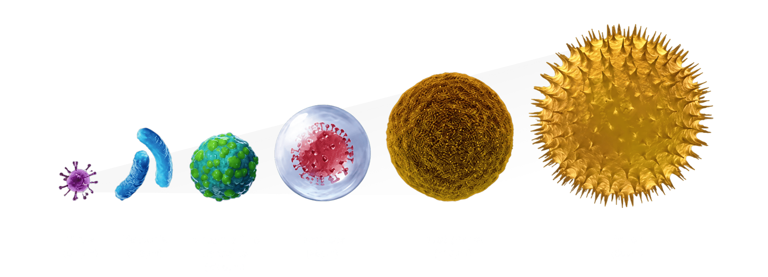 Particle Size Comparison Chart