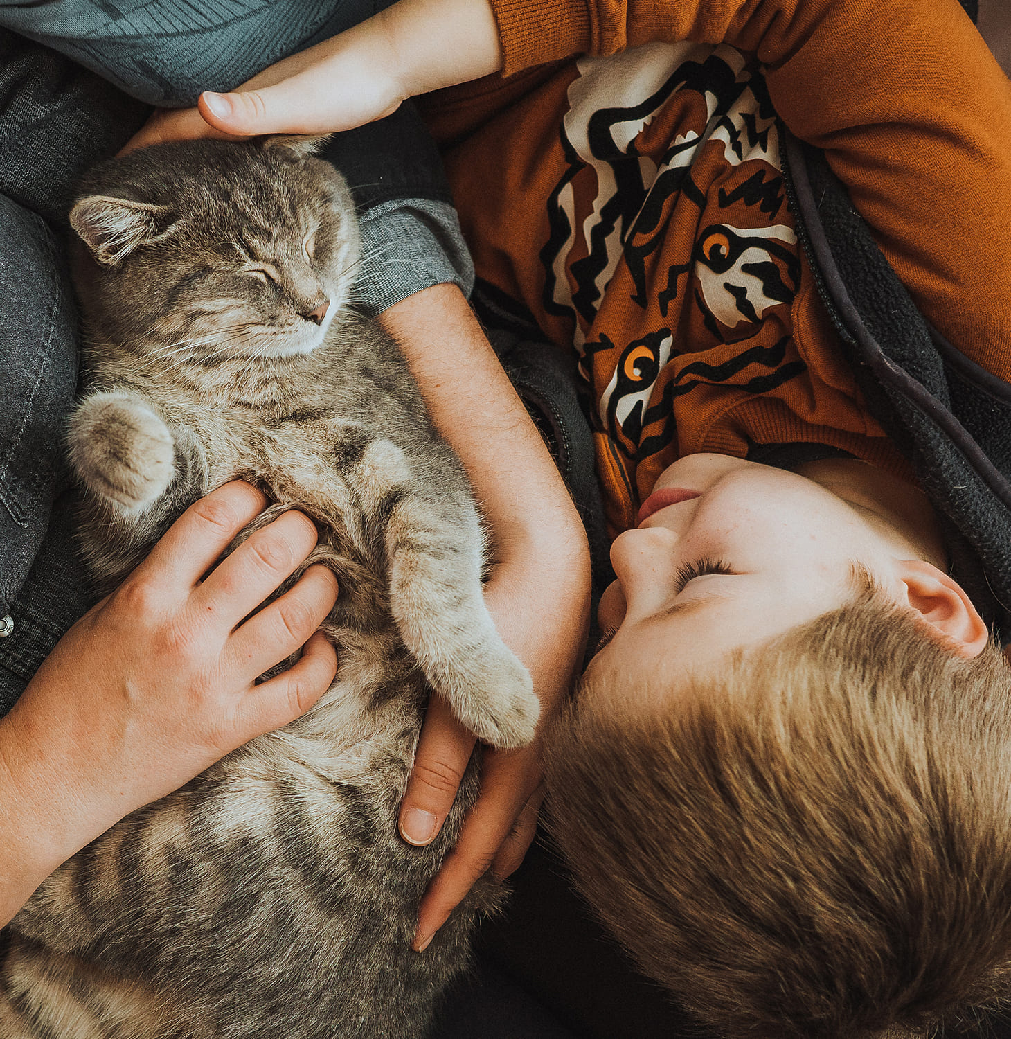 Life with your pet