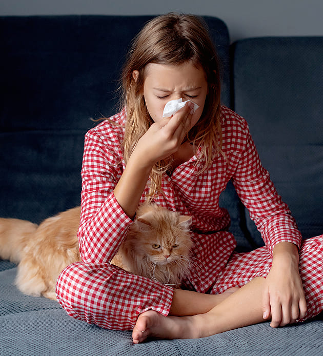 Pet Allergie