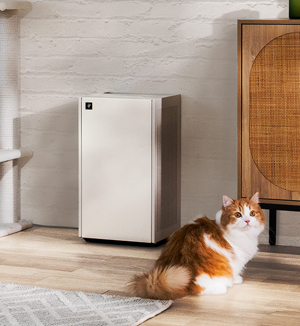pet odors remove