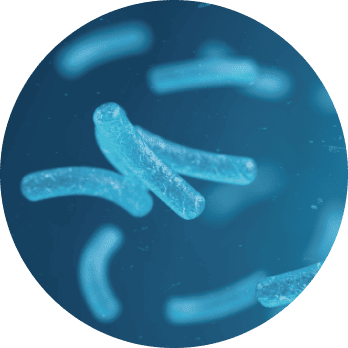 Airborne Mold