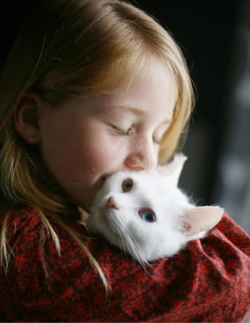 Playing with a cat
