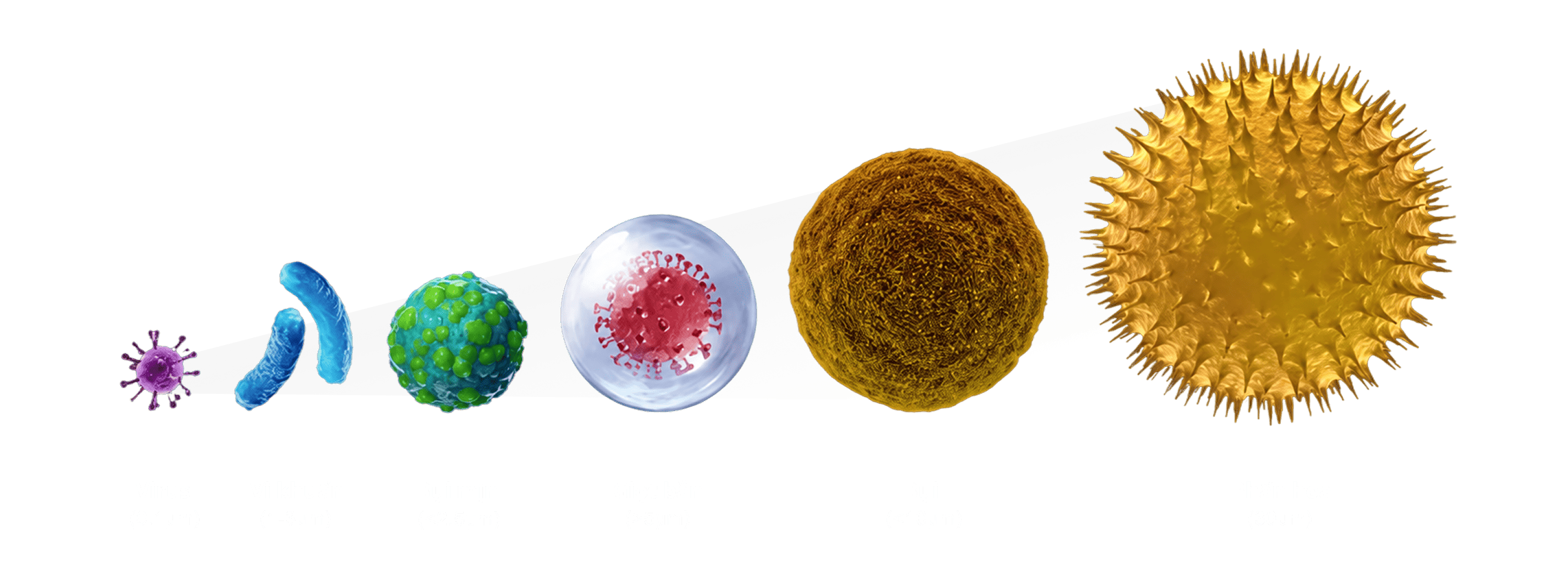 Particle Size Comparison Chart